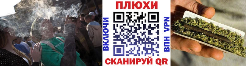 как найти закладки Краснозаводск ГАШ индика сатива