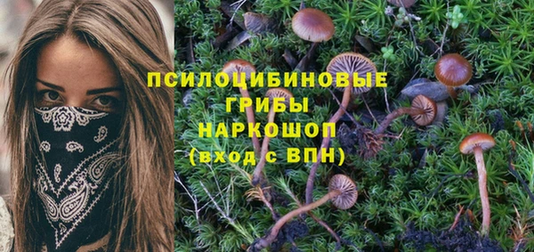 марки nbome Алексин
