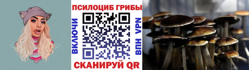 МЕГА ONION где продают Краснозаводск Псилоцибиновые грибы MAGIC MUSHROOMS